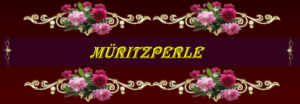 Banner_Ronyas>_mueritzperle_Forum